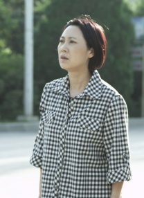 痴汉电车系列